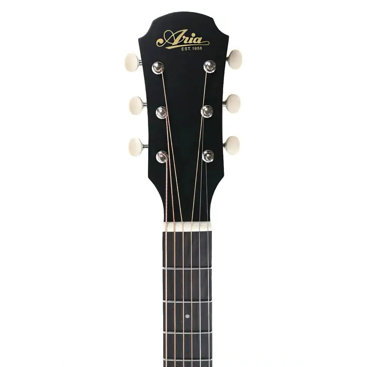 101UP_STGR_2 | Terry Carter Music Store