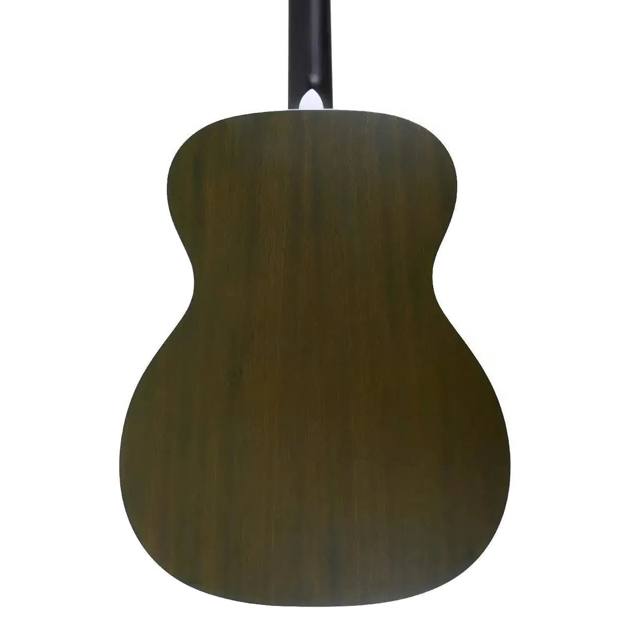 101UP_STGR_3 | Terry Carter Music Store
