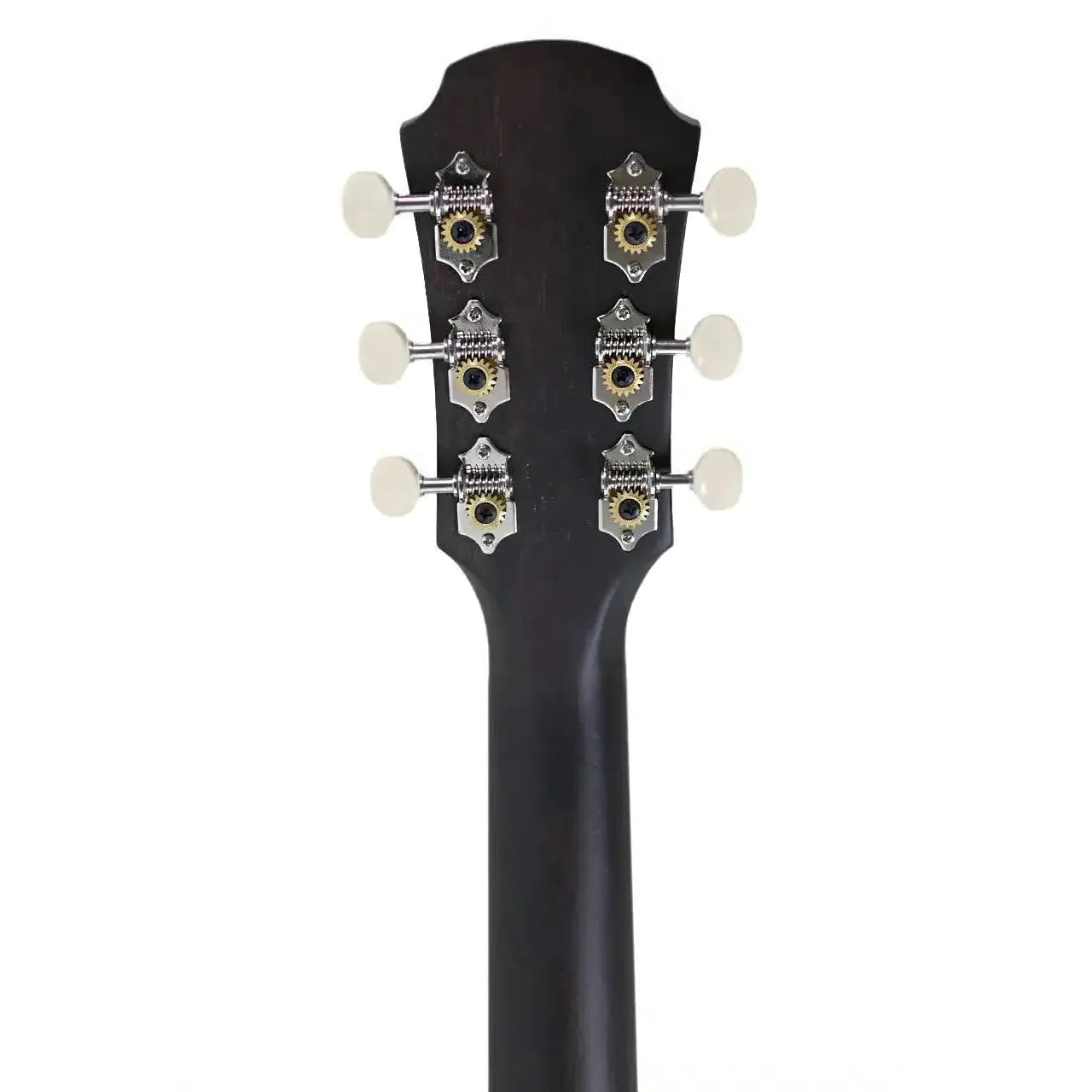 101UP_STGR_4 | Terry Carter Music Store