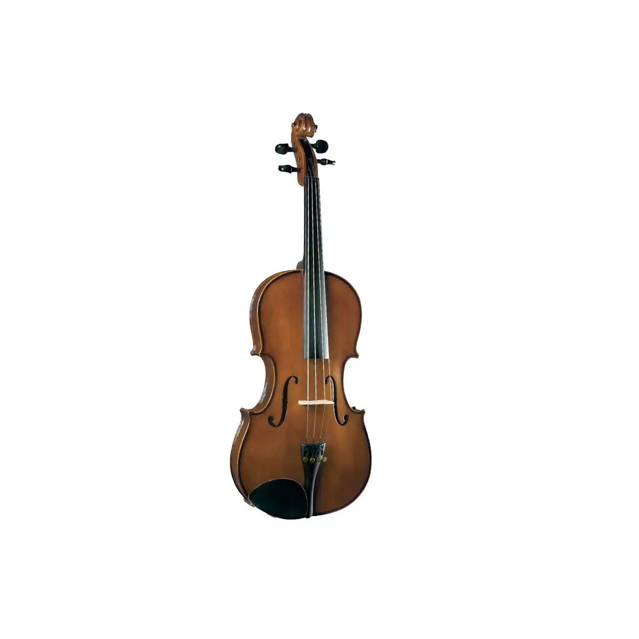 1_09271650-31f7-48bb-8633-f9ac6f102e55 | Terry Carter Music Store