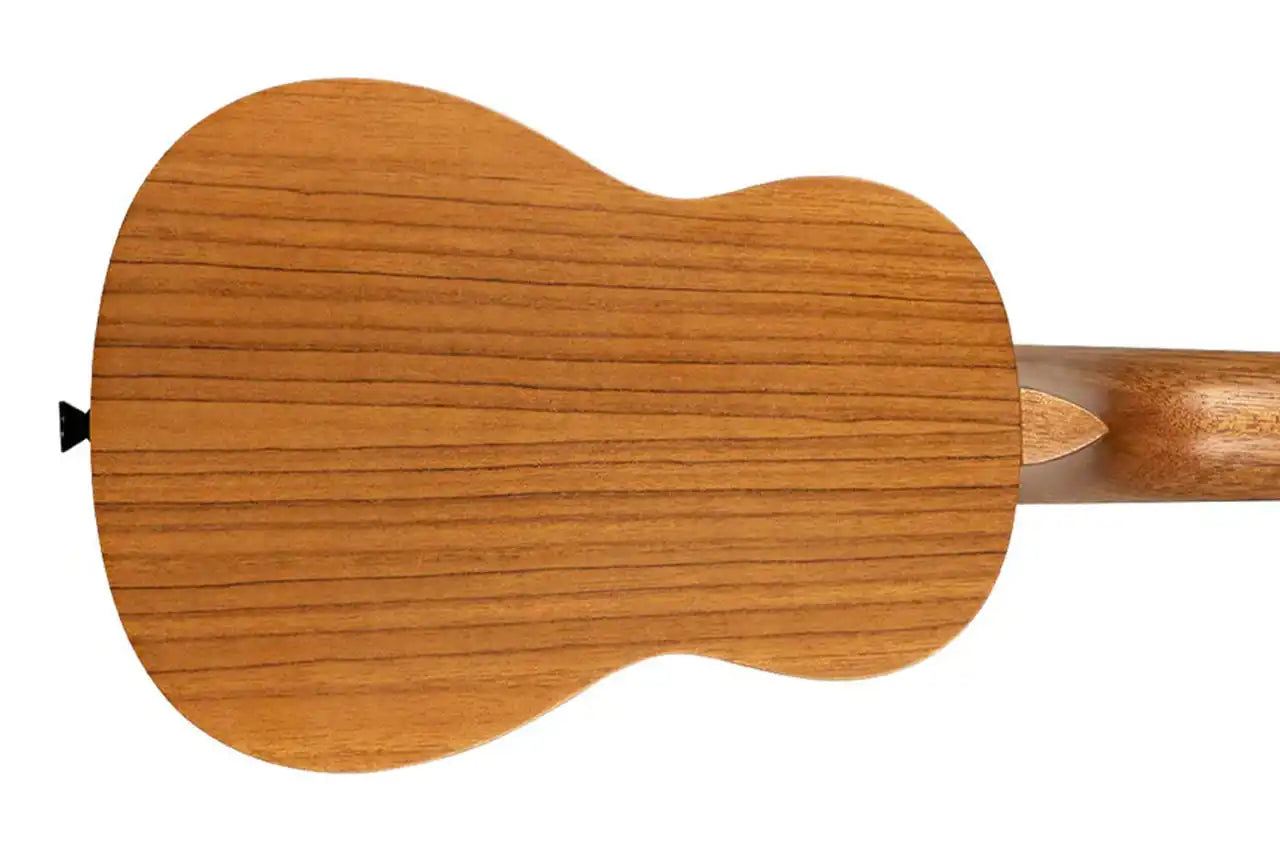 1_0ce3a40f-8def-4e49-b2fb-e2db86c02ccd | Terry Carter Music Store