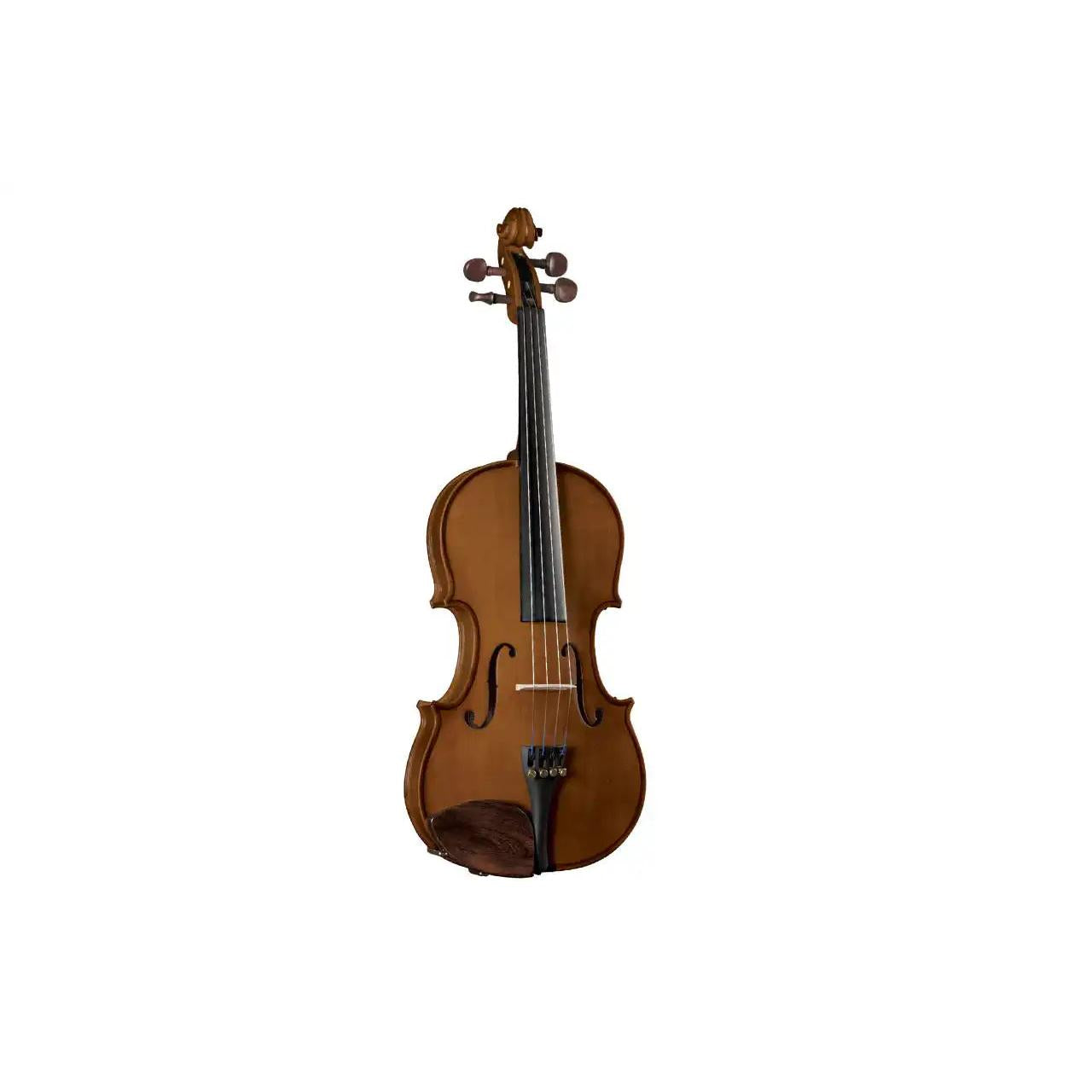1_0e4ba12d-2e6c-4f73-a374-7cbcaf57d3c5 | Terry Carter Music Store