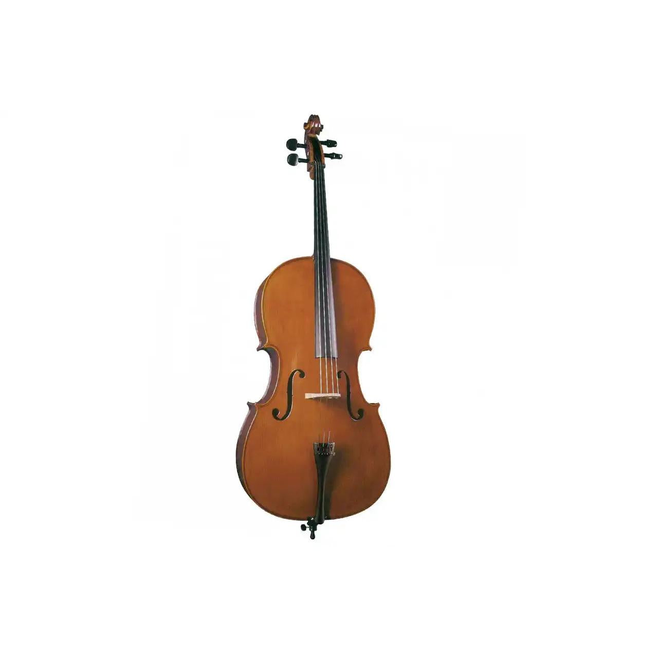 1_1125e91c-d91a-43e0-9d84-82cfc821ae60 | Terry Carter Music Store