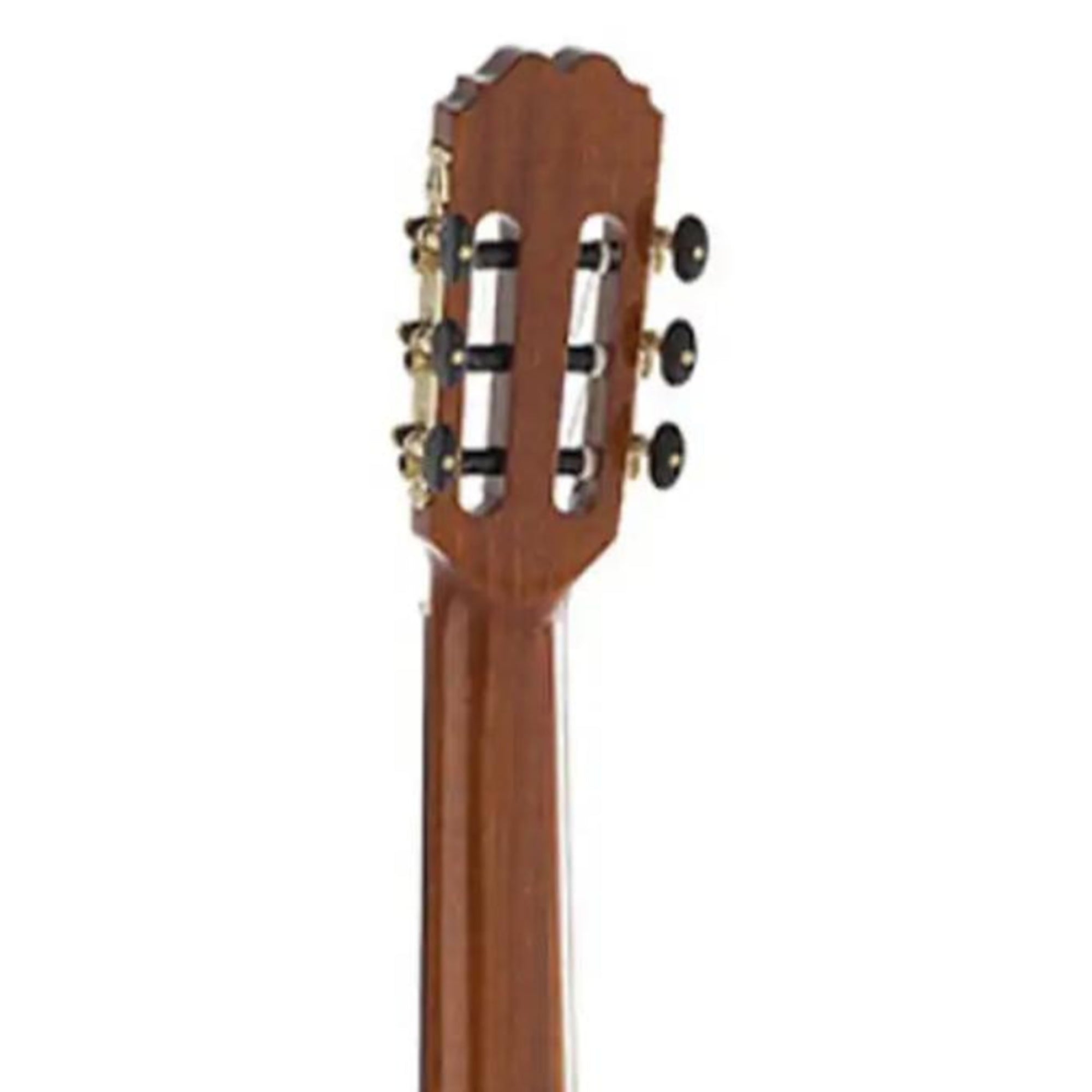 1_17fedc4a-ece6-4492-a681-e58975f65f7d | Terry Carter Music Store