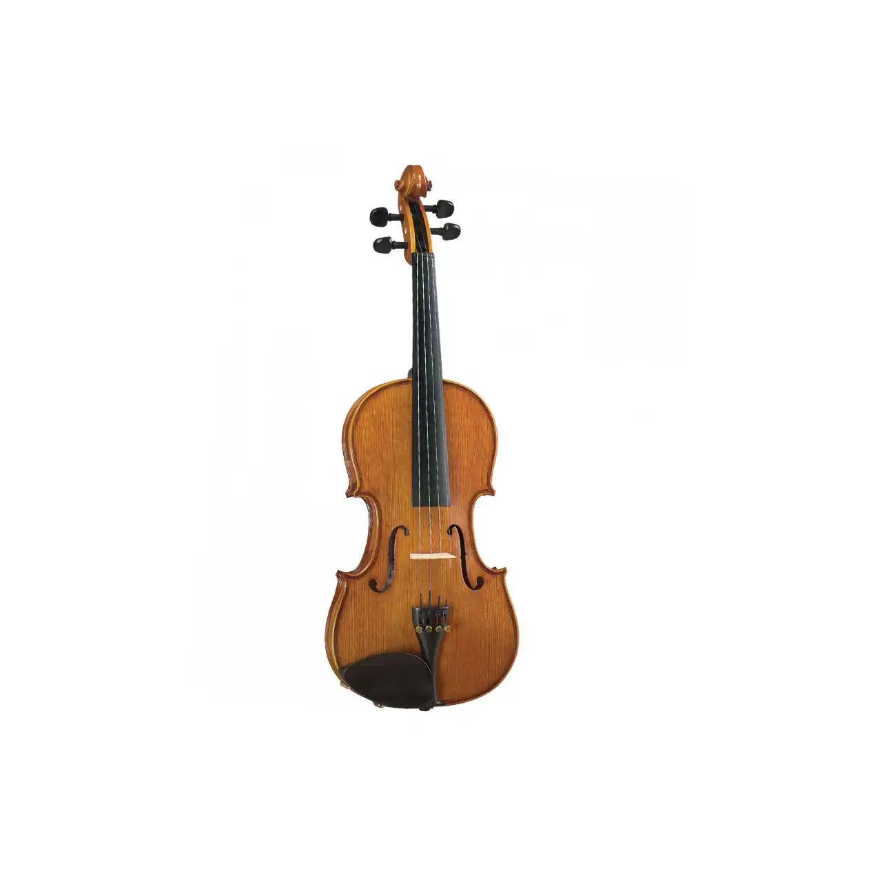 1_20edae3a-fca9-4858-a43b-237c48d44abc | Terry Carter Music Store