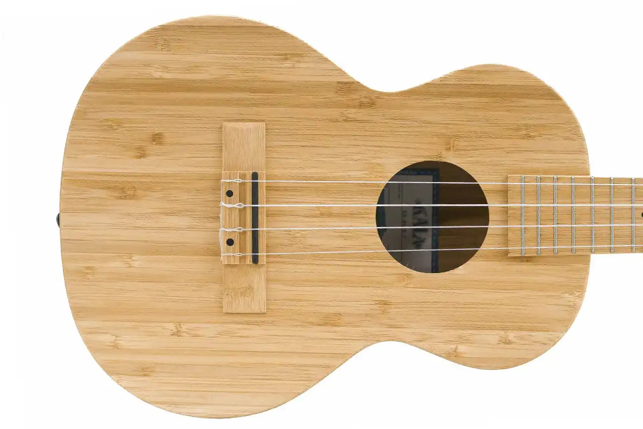 1_228b81e0-eb08-4588-86aa-6121dccceb85 | Terry Carter Music Store