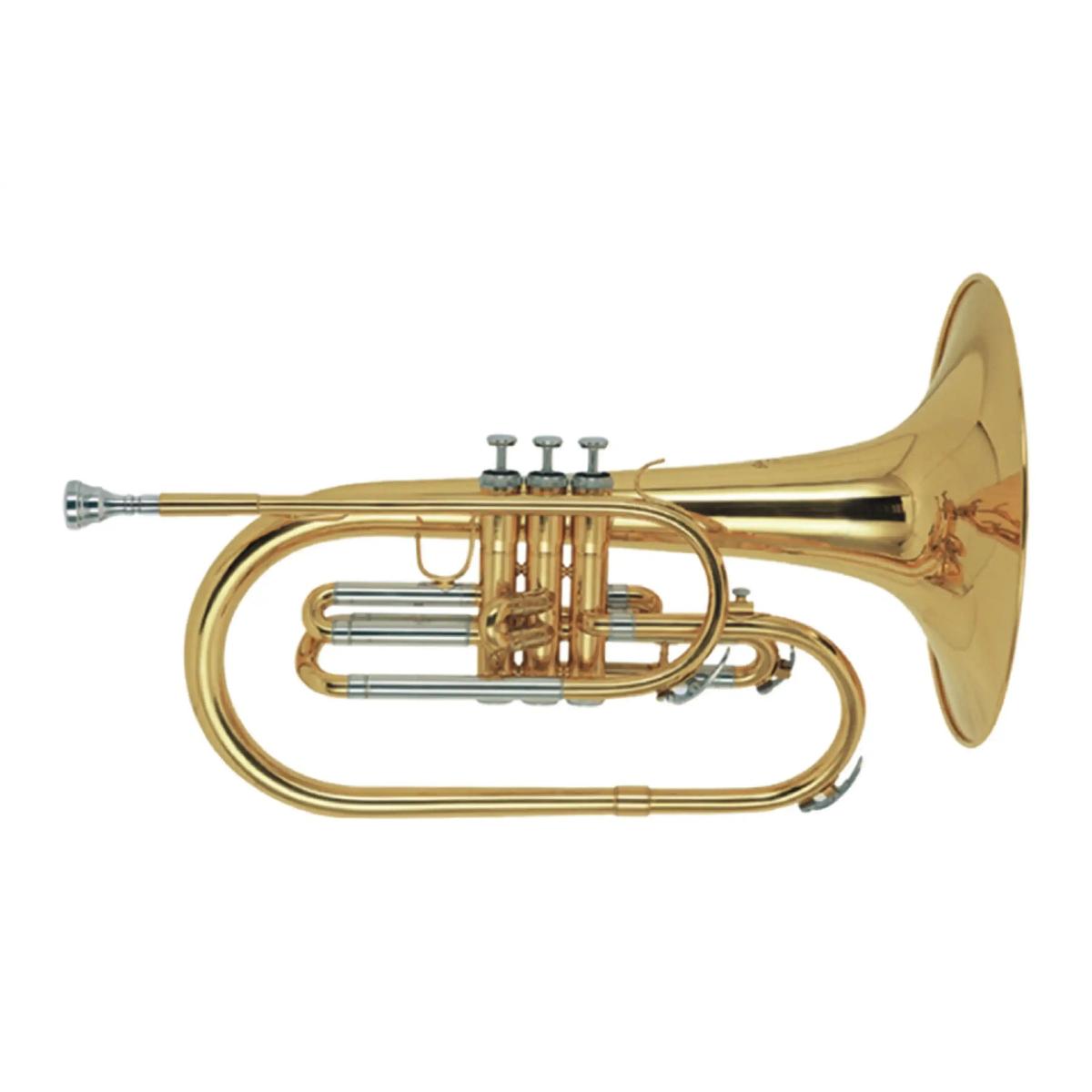 1_250fb622-bdc3-4ec6-bcbc-a62cb9e83420 | Terry Carter Music Store