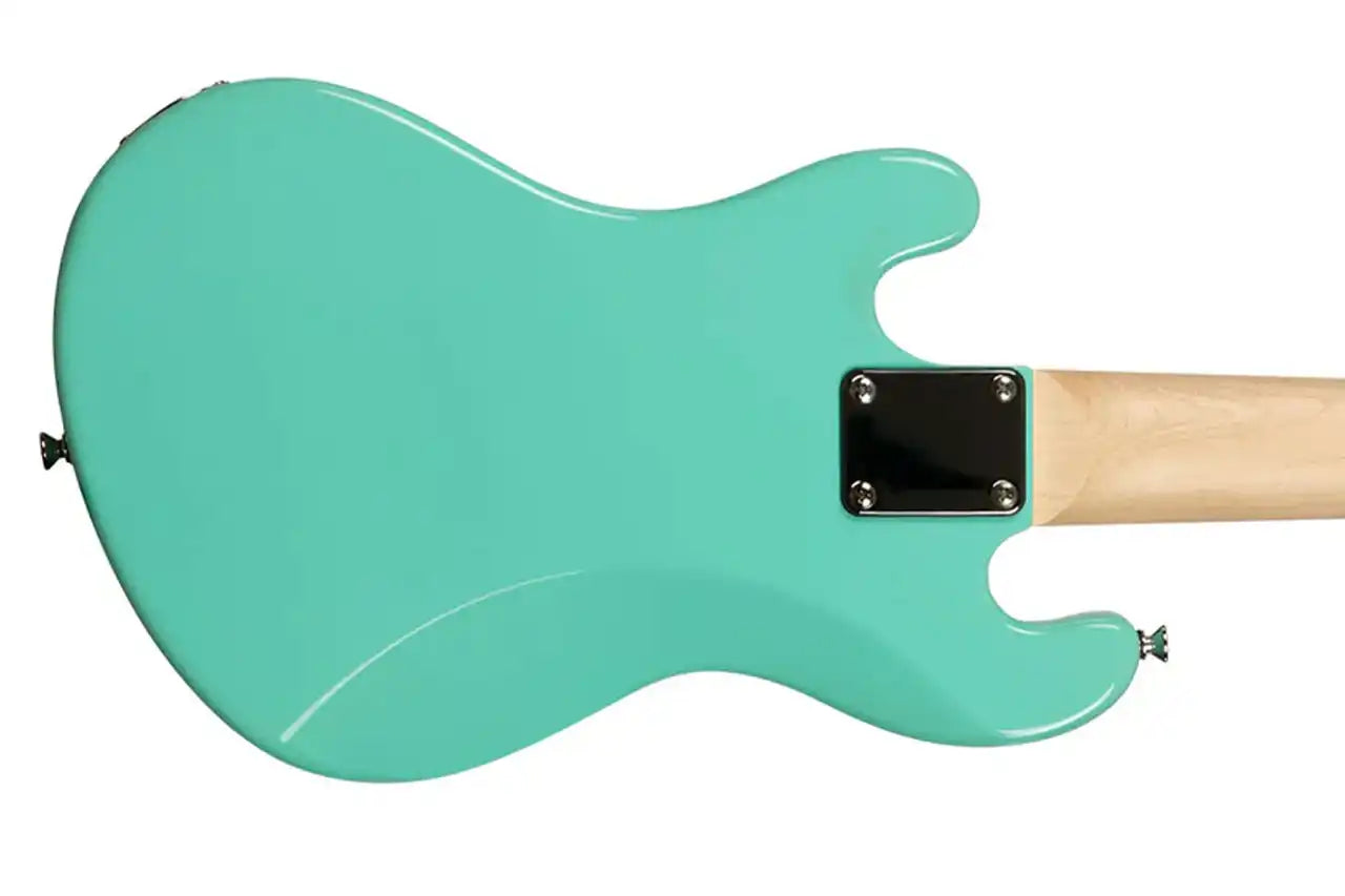 1_2b720120-0d6b-40d4-aaae-7d960b6ad92d | Terry Carter Music Store