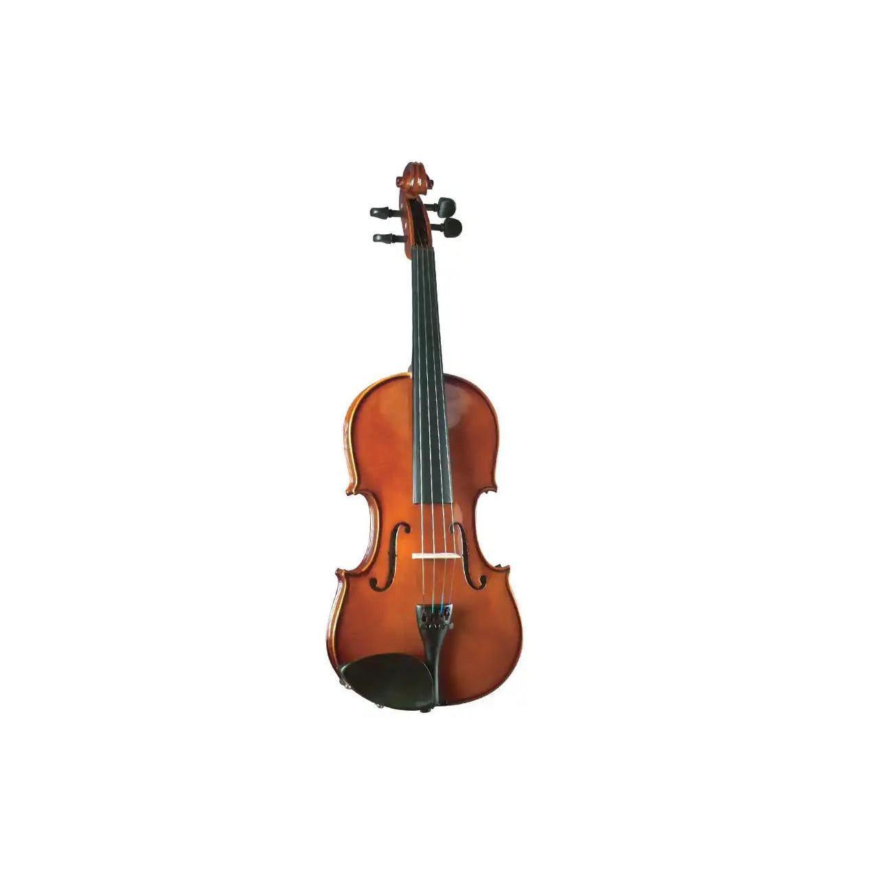 1_3865e9c2-3f1b-4e67-9daa-a86081147e05 | Terry Carter Music Store