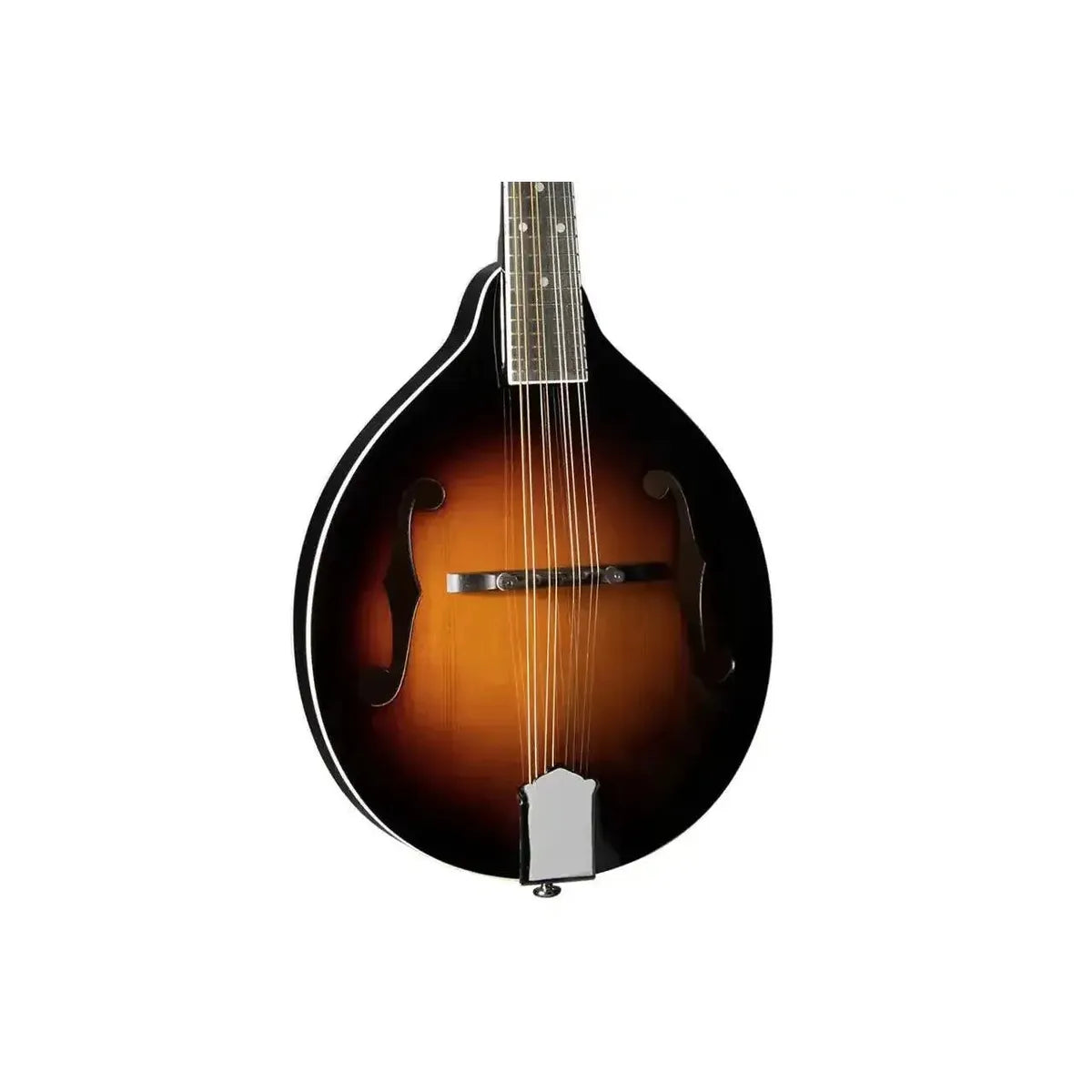 1_3e5c0711-7d16-4999-9426-98db679066f2 | Terry Carter Music Store