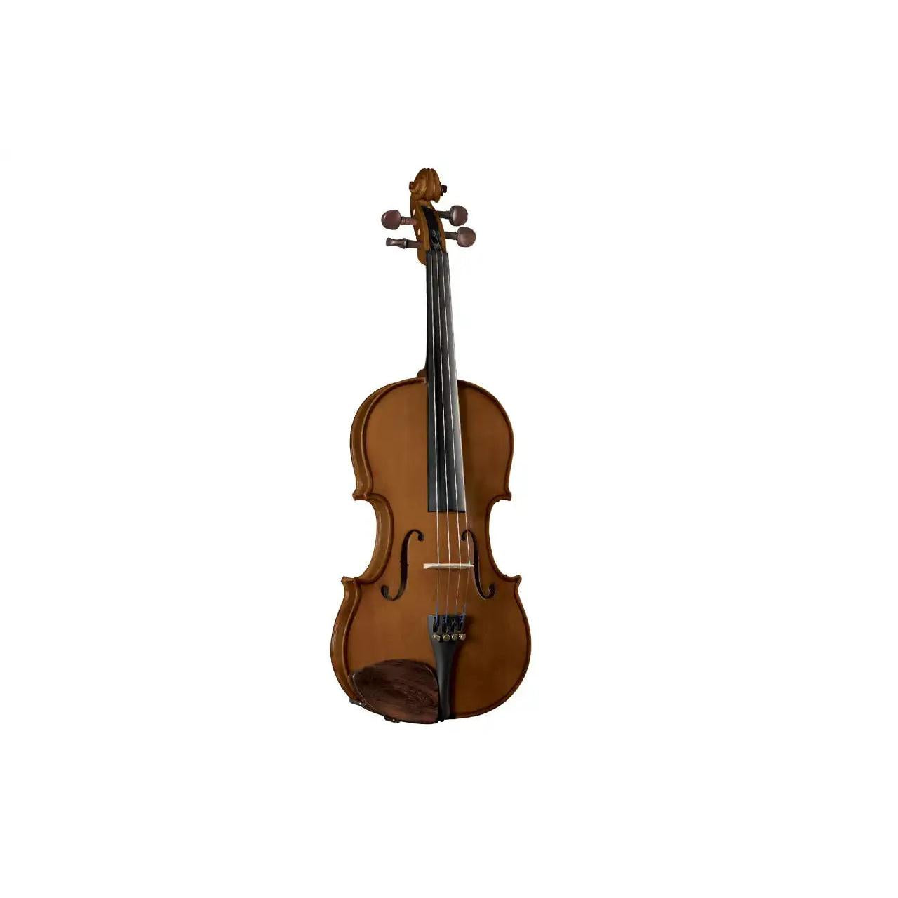 1_3f3c0400-f7c5-4435-bc46-1d906bbe63ad | Terry Carter Music Store