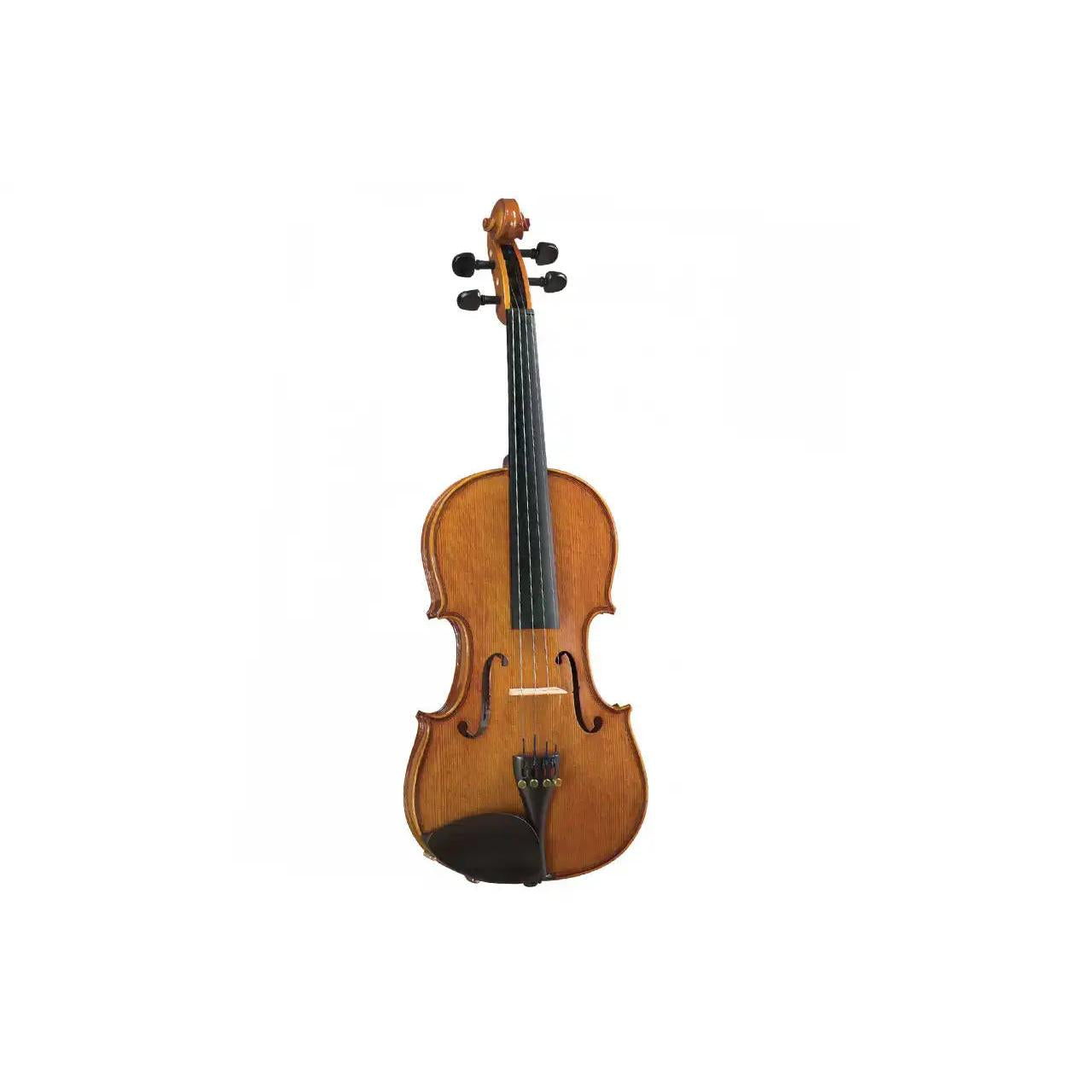 1_3fba0f46-d375-4fa0-ae2a-98f1b337bdf0 | Terry Carter Music Store