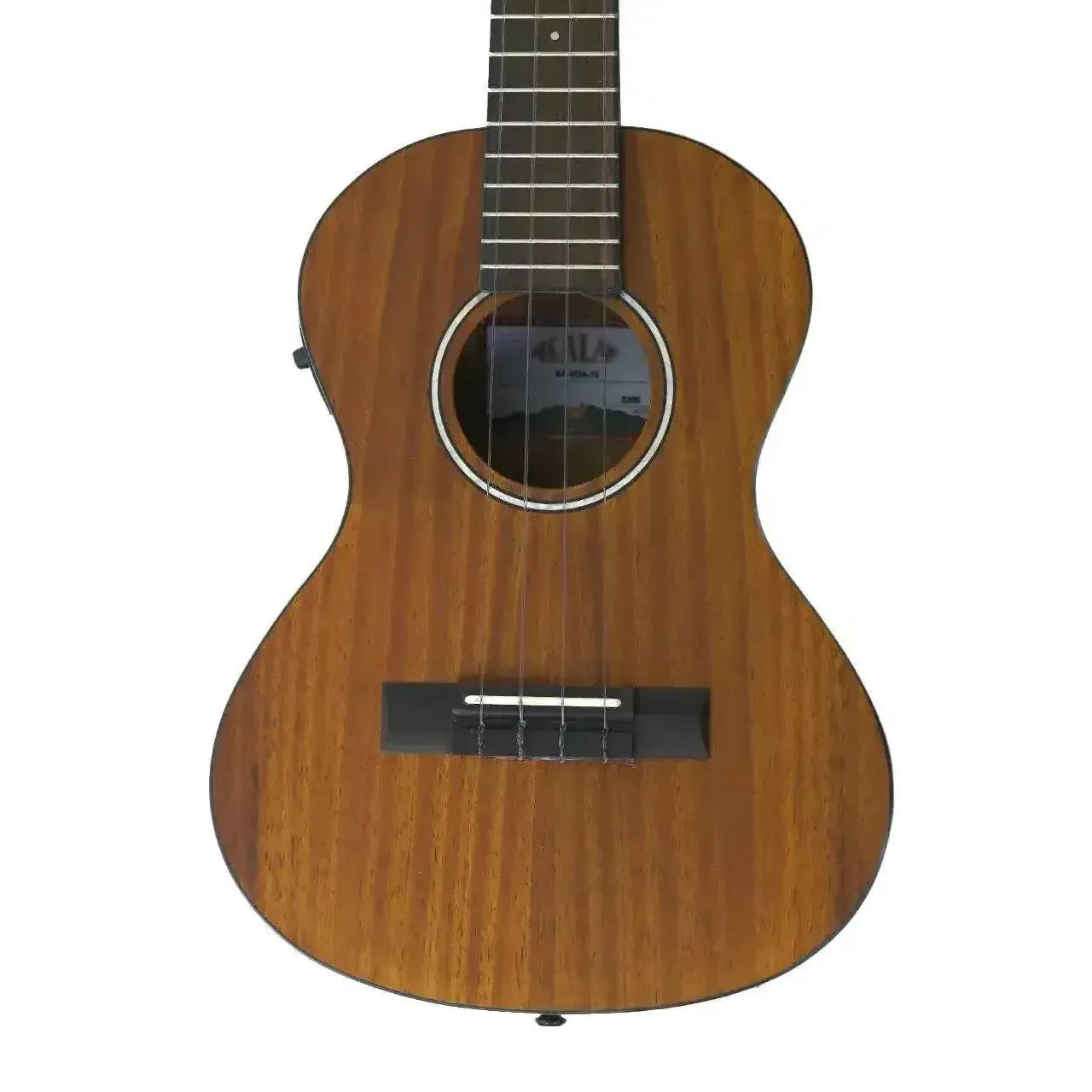 1_44c827e3-1047-41f8-a3b2-dd1afddb7e91 | Terry Carter Music Store