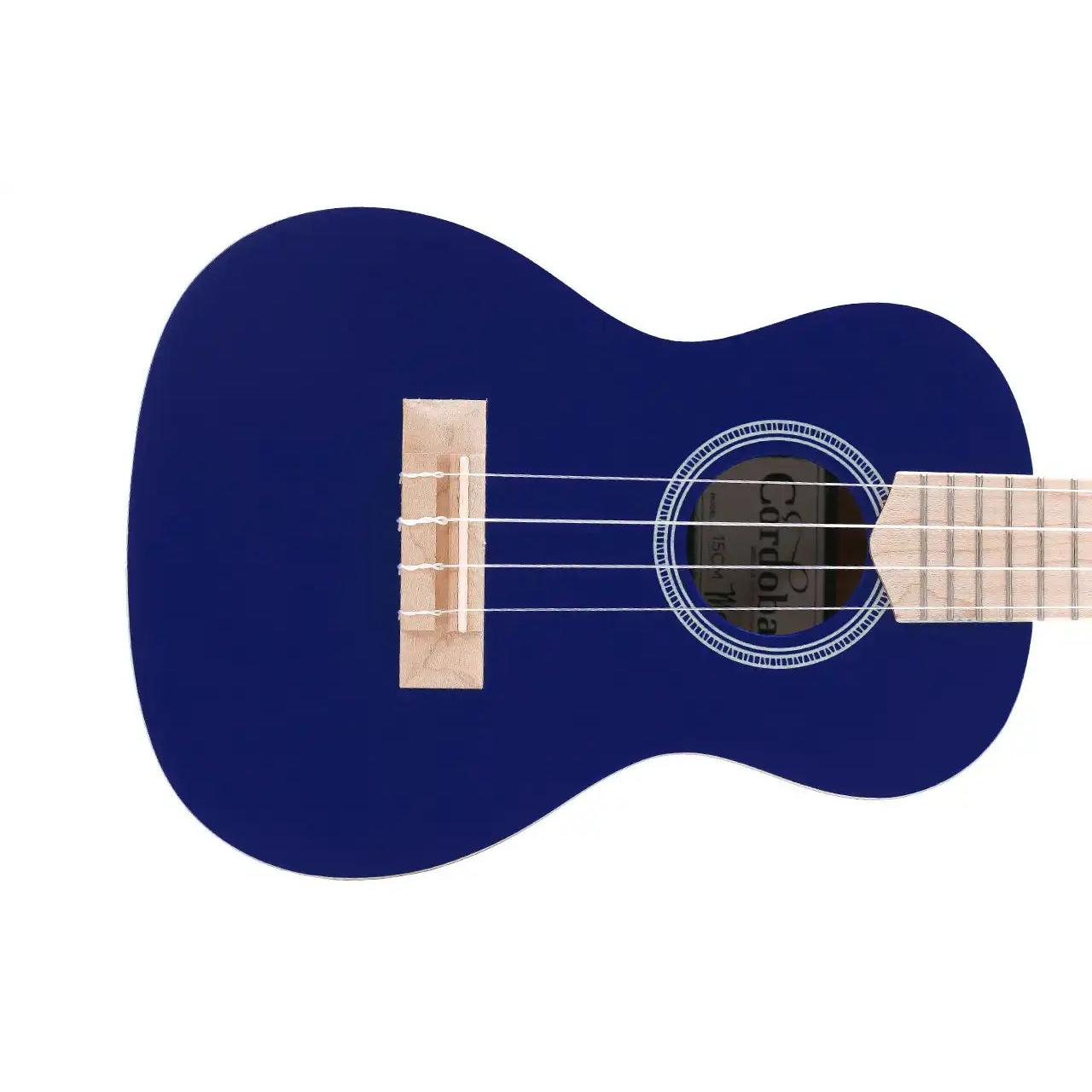 1_492750bb-b4d4-46a5-91b6-c13fab6d8bea | Terry Carter Music Store
