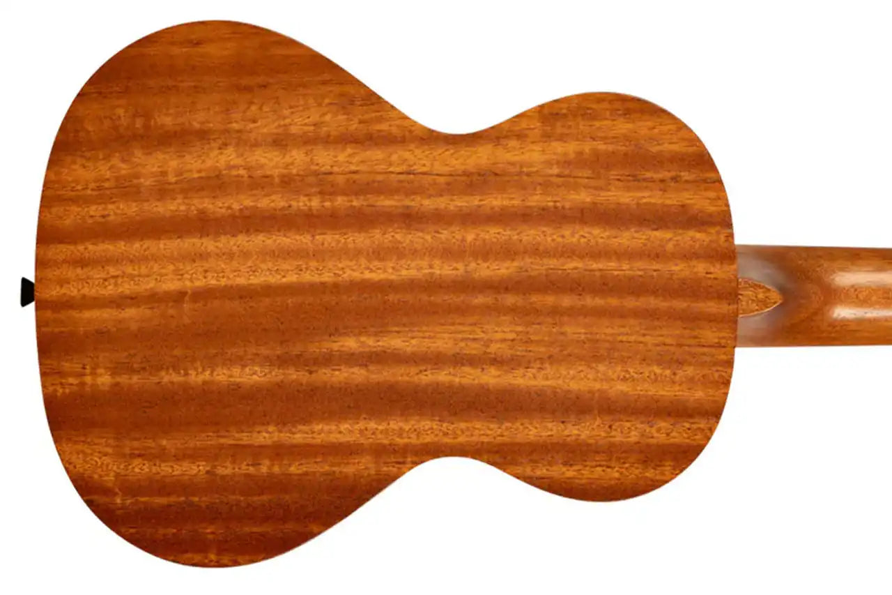 1_58f200f4-f341-4660-af81-cc98d6144aea | Terry Carter Music Store