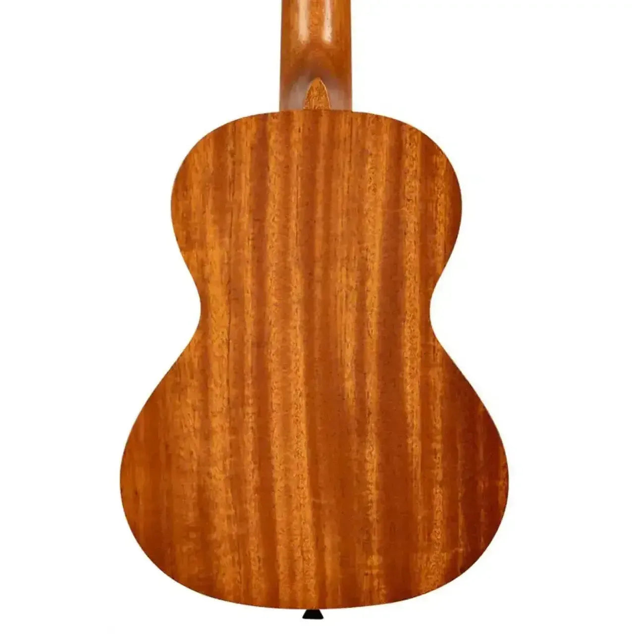 1_58f200f4-f341-4660-af81-cc98d6144aea | Terry Carter Music Store