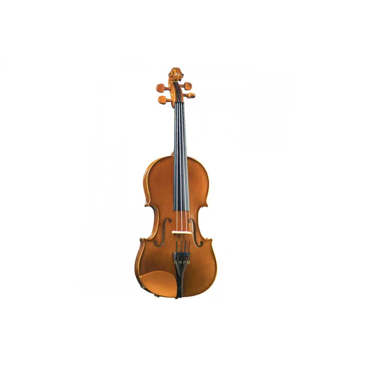 1_5a30dcad-8684-492b-aae6-0dff8b1ca0b9 | Terry Carter Music Store