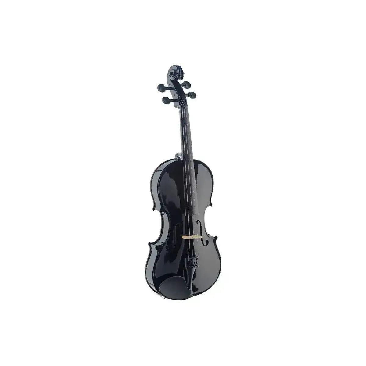 1_5acc04b3-94ef-4307-933e-563fb74123e9 | Terry Carter Music Store