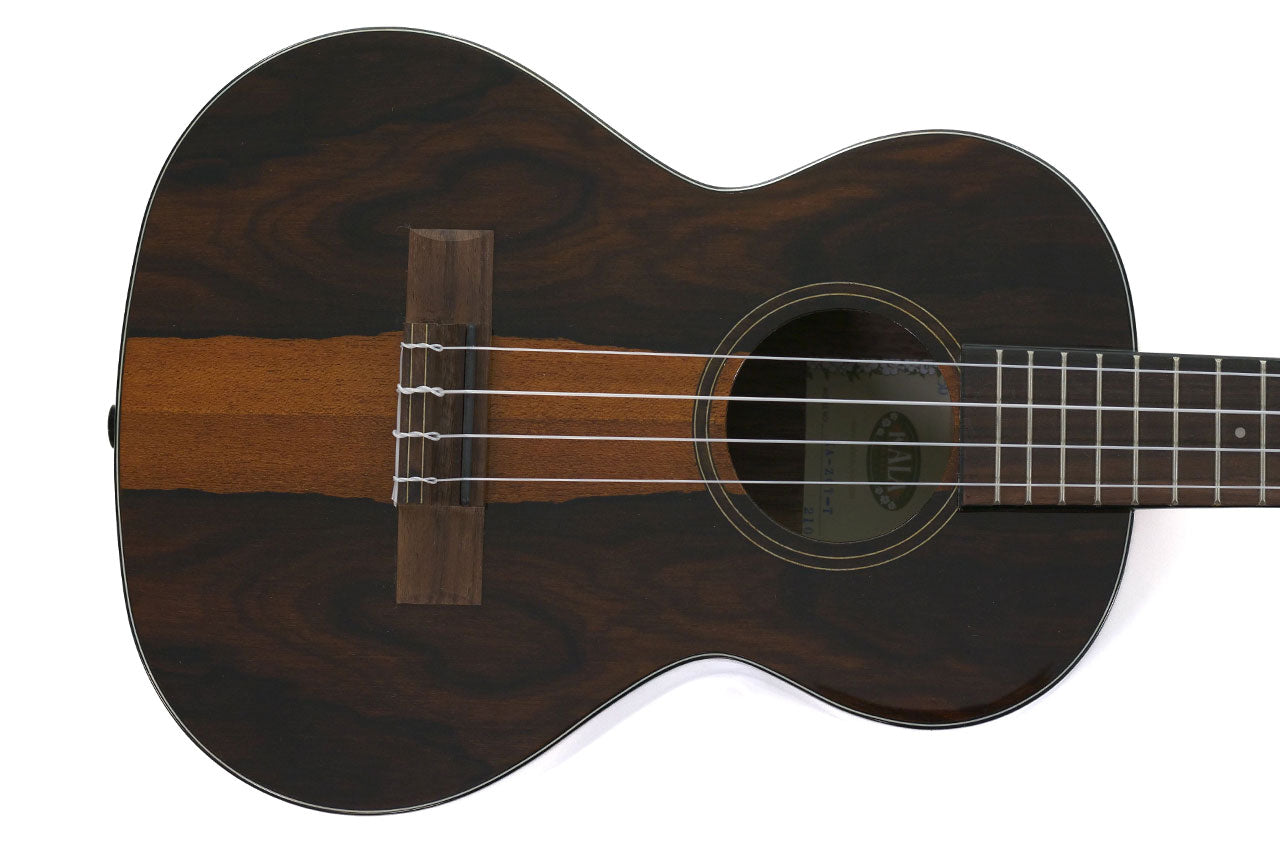 1_62e34061-4f8c-4676-a878-216f934ac8cf | Terry Carter Music Store