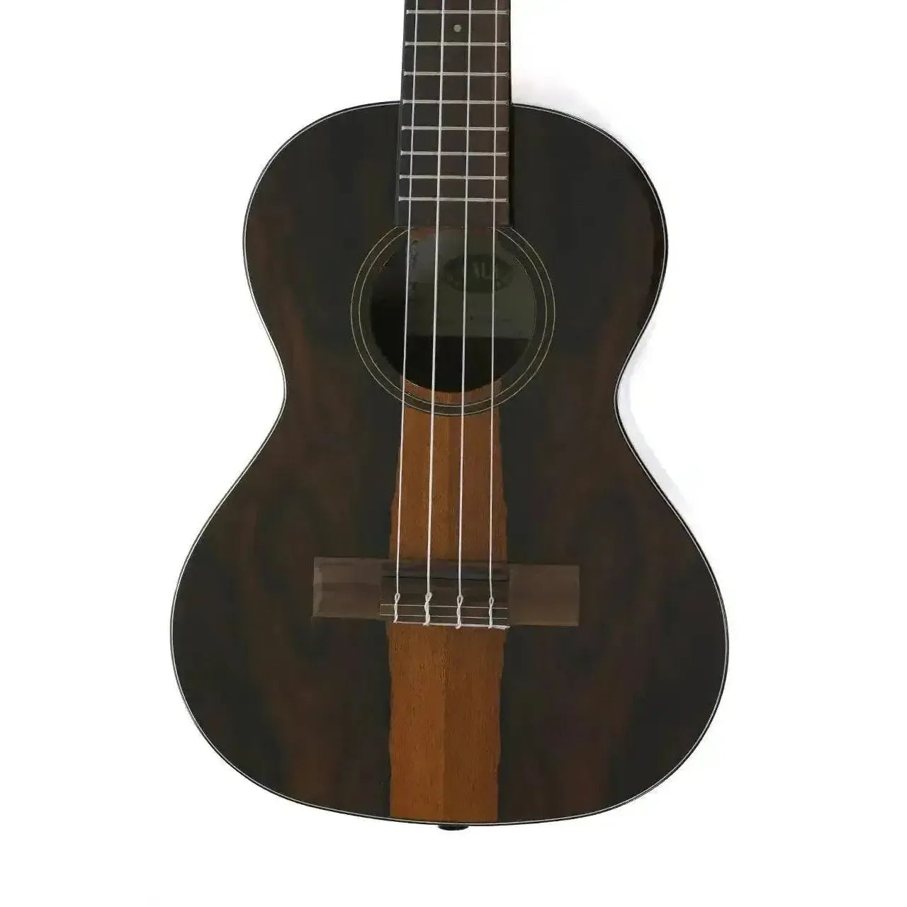 1_62e34061-4f8c-4676-a878-216f934ac8cf | Terry Carter Music Store