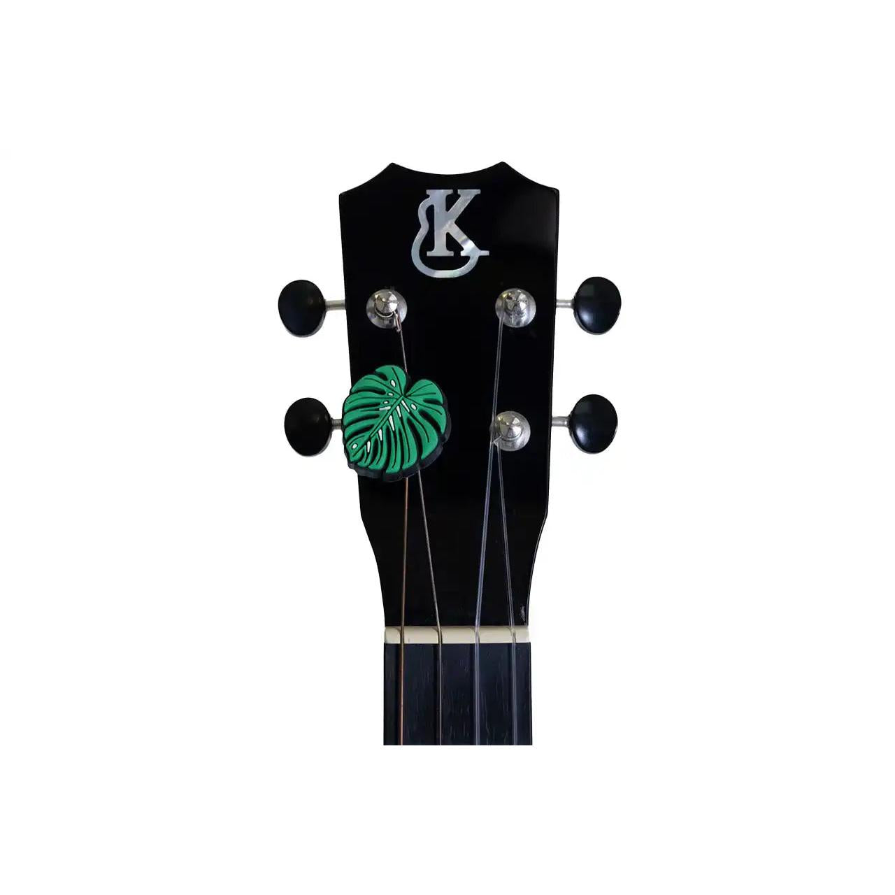 1_62fc92ea-87ff-496d-b1c3-9370665d82d5 | Terry Carter Music Store