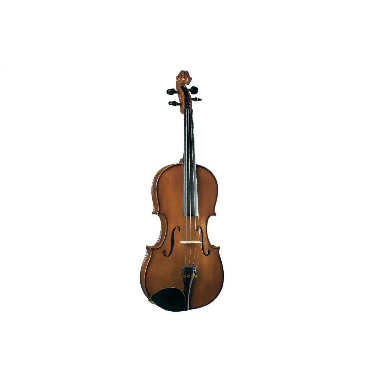 1_6dc03cca-6aaa-4070-9986-8b90e532e238 | Terry Carter Music Store