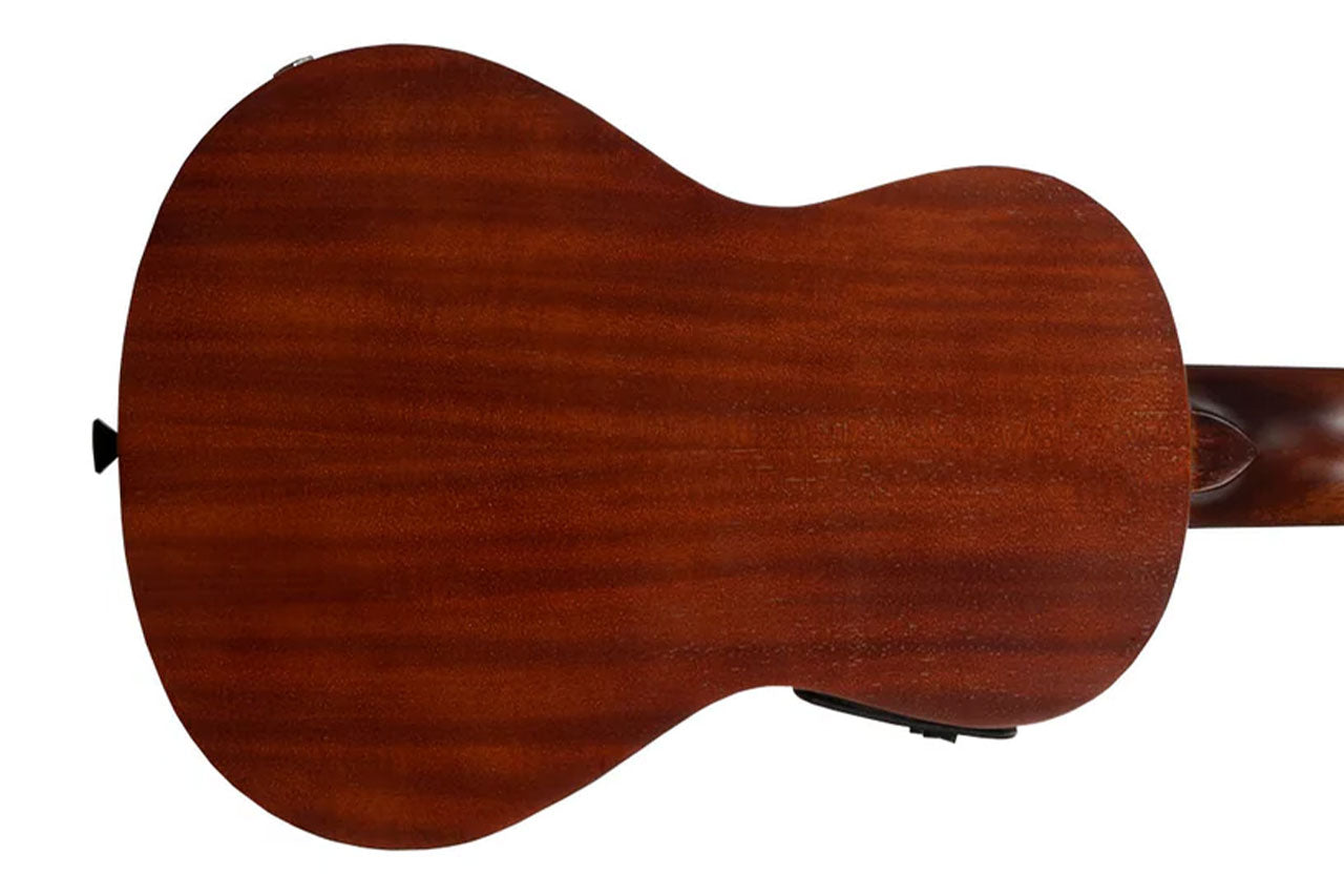 1_6fb86315-3ed1-4a8f-92af-01c456ab25da | Terry Carter Music Store