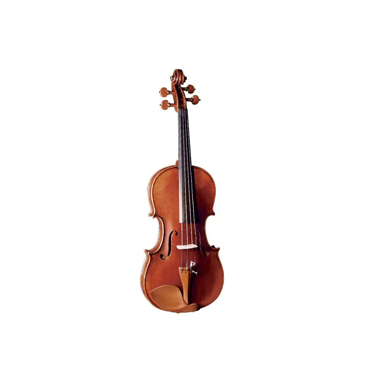 1_6fd569f8-8dbd-4b28-bdc0-b2c773f1eb47 | Terry Carter Music Store
