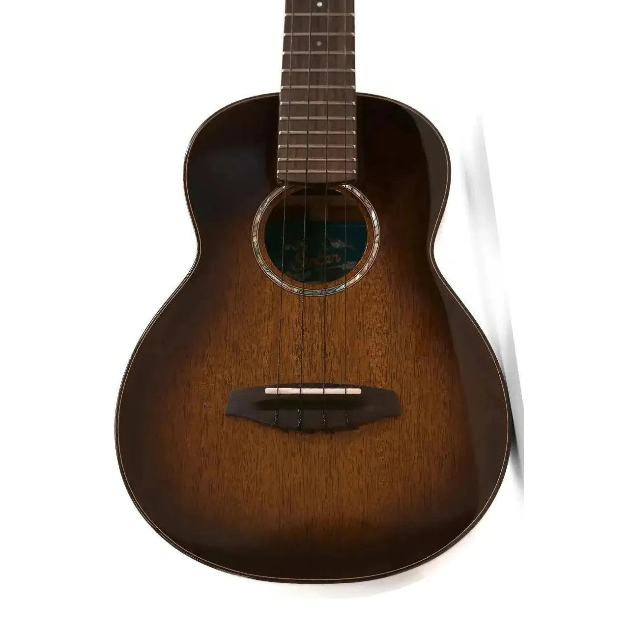 1_73358202-22c2-4c08-958d-0a69d463ac14 | Terry Carter Music Store