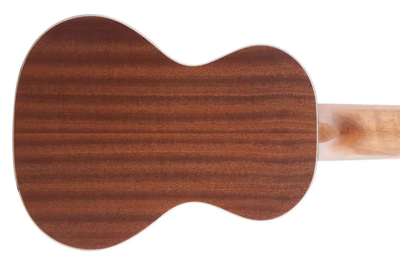 1_7696eef6-78cc-48ba-9973-cbc4ff38b2dd | Terry Carter Music Store