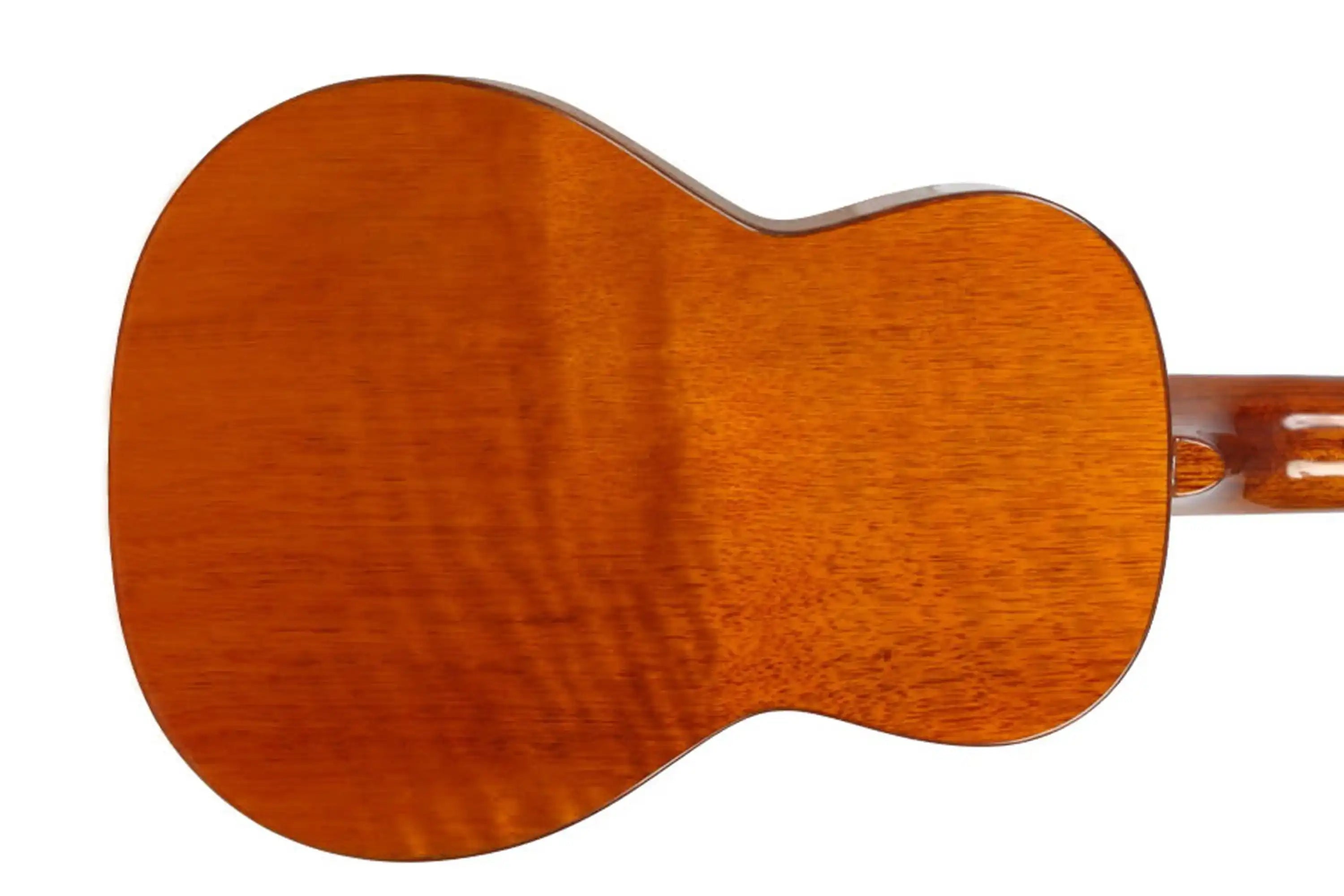 1_7858167b-a275-4fc9-8755-9cf054701b82 | Terry Carter Music Store