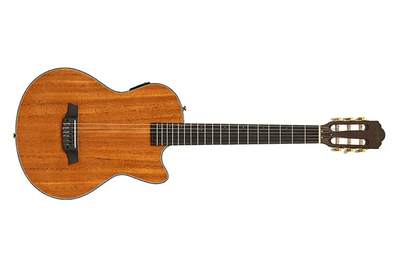 1_7b6ea7c9-0c45-466a-942b-be19de235bcf | Terry Carter Music Store