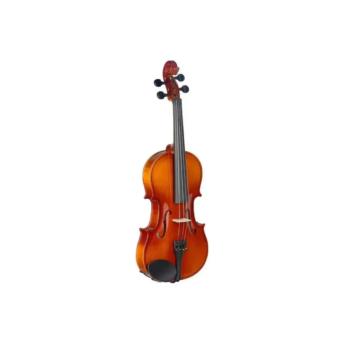 1_7f22c74f-fee5-45dc-8e7d-ce54b29fc34b | Terry Carter Music Store