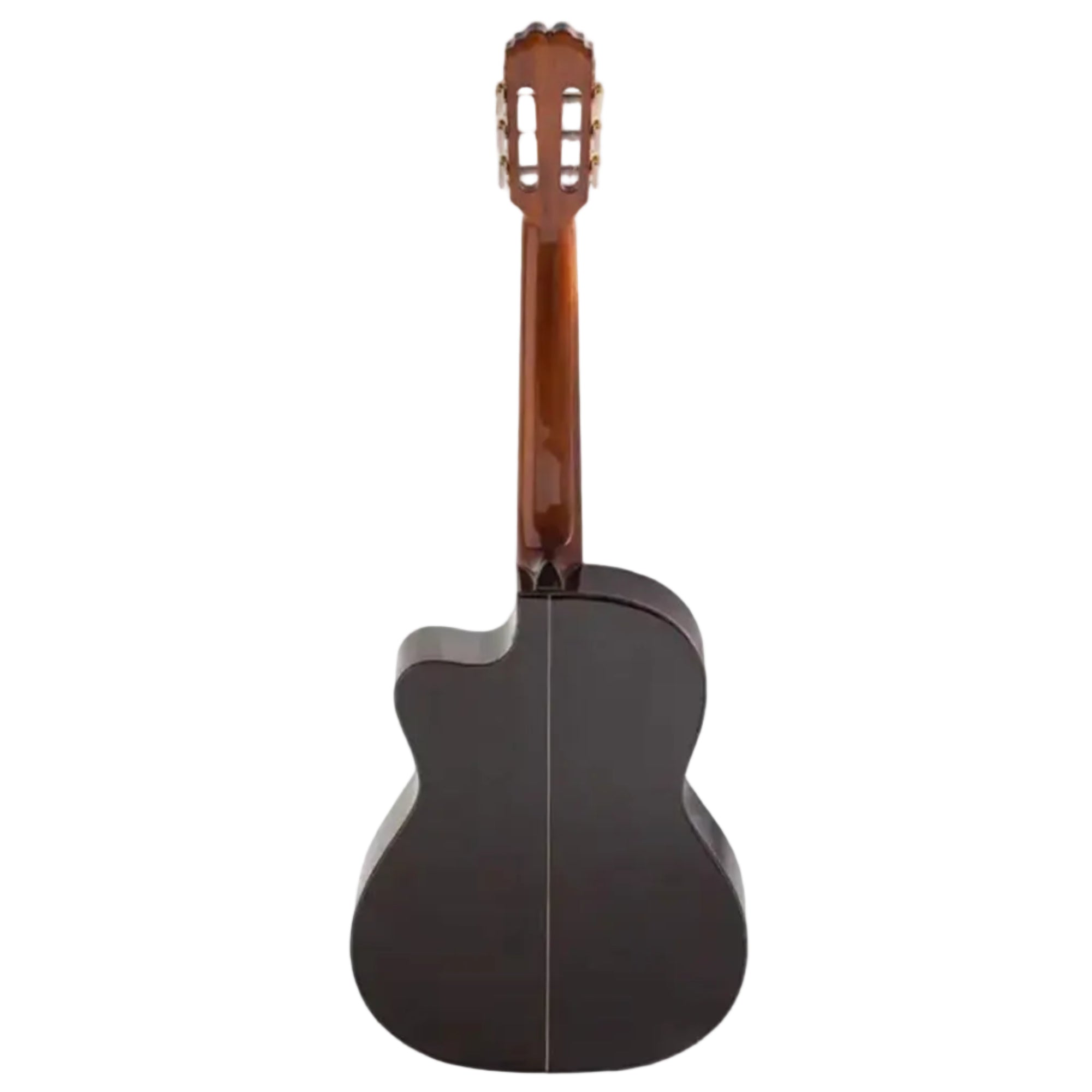 1_81ab4027-831a-4478-9262-b5b79c7c4804 | Terry Carter Music Store