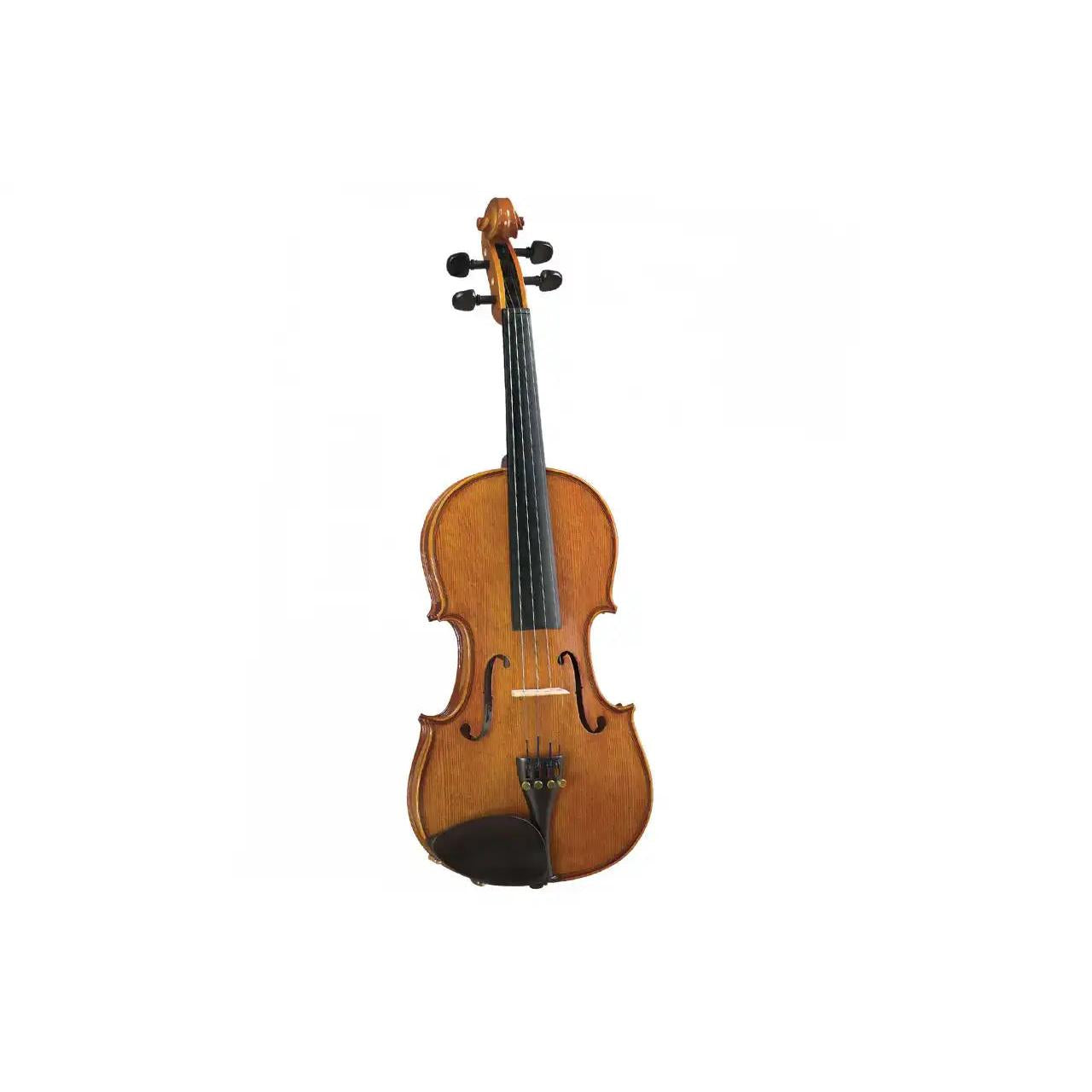 1_865e0f31-08ae-4eb9-a31b-be0bb456e29d | Terry Carter Music Store