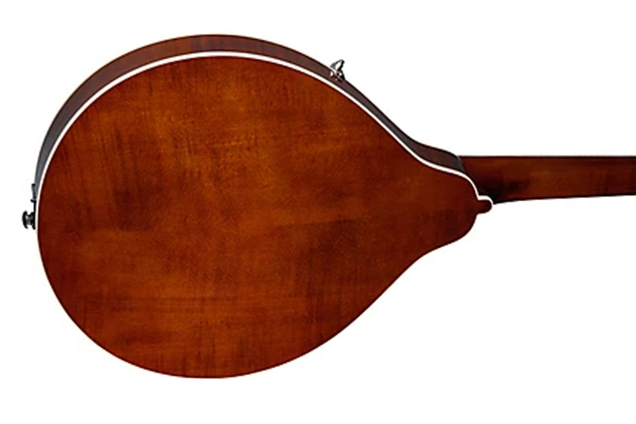 1_8cfa5d71-679a-4da8-bfaf-53c05478e063 | Terry Carter Music Store