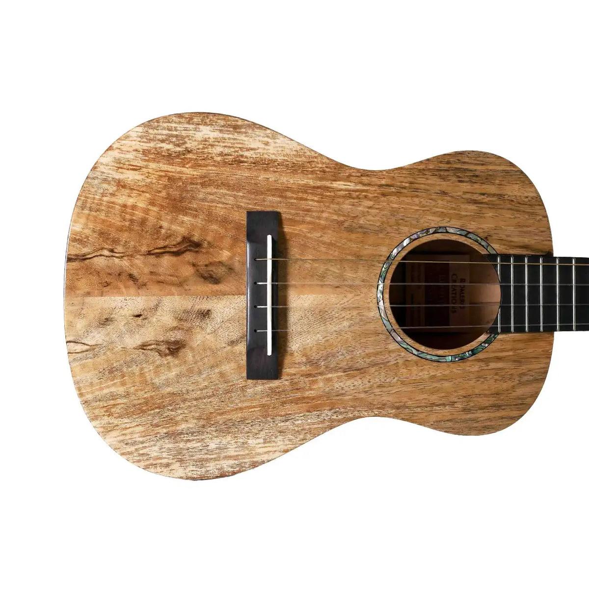 1_8e860ead-1a17-4908-8f91-d5635503405f | Terry Carter Music Store