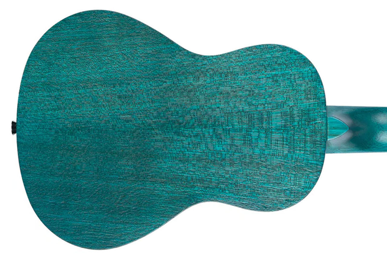 1_9396109c-7a22-4a01-bc1a-55e2d0412556 | Terry Carter Music Store