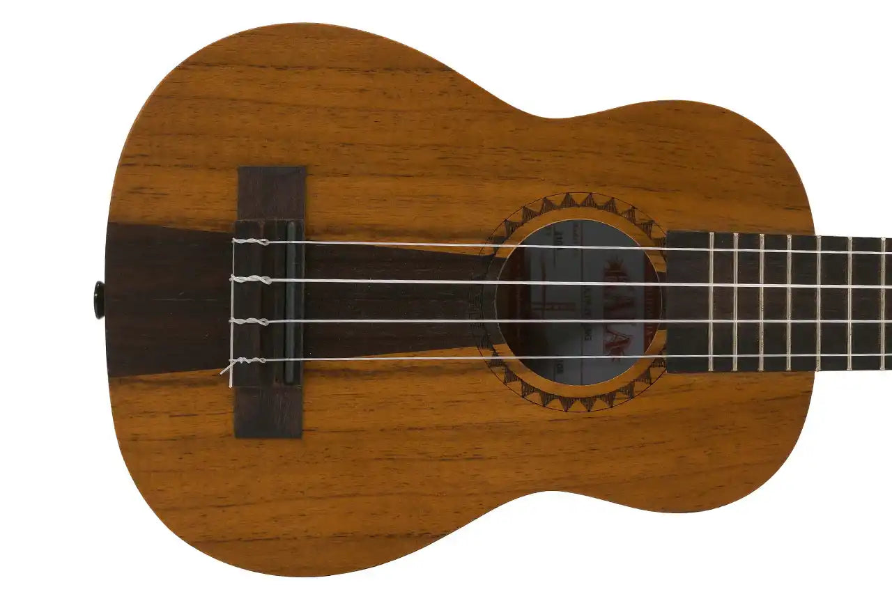 1_a5398edd-f64d-4700-8662-7349a4c5011c | Terry Carter Music Store