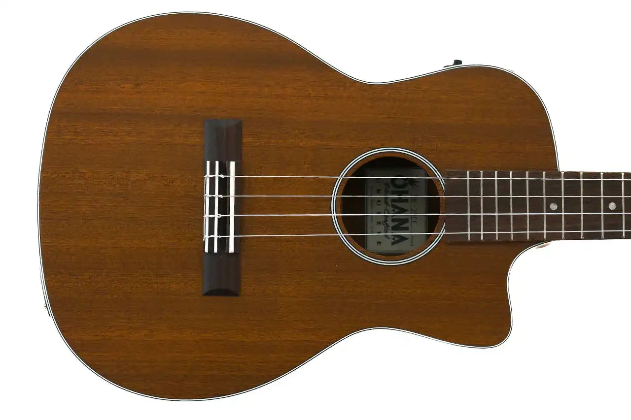 1_a9363544-f2f5-4a80-8354-fe3c4363f077 | Terry Carter Music Store