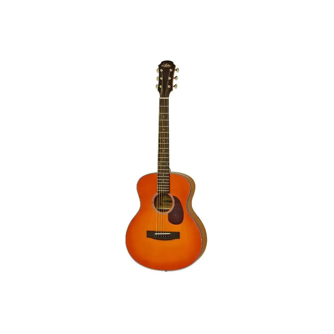 1_b917effc-ab6c-48f0-a298-9cbd8b89bf77 | Terry Carter Music Store
