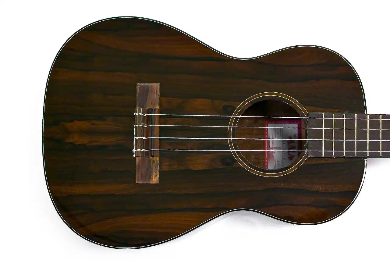 1_bc27cff7-2537-4380-9aeb-633764232aee | Terry Carter Music Store