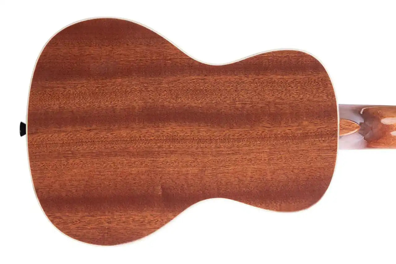 1_c2aab62f-b828-49d7-822c-f6af0137d820 | Terry Carter Music Store