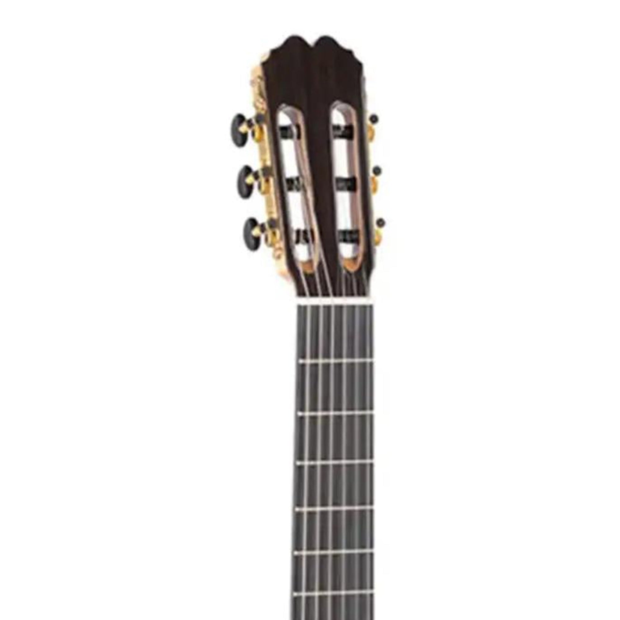 1_c54def41-34e5-40de-82be-ac5a52ec608d | Terry Carter Music Store