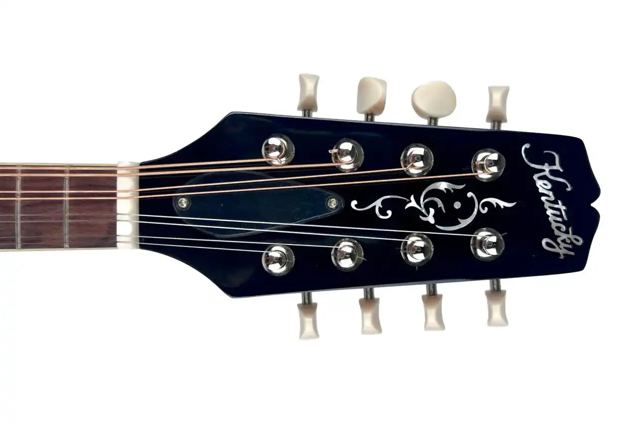 1_ca7719ce-b752-4aaa-bb1a-1fad172e25f6 | Terry Carter Music Store