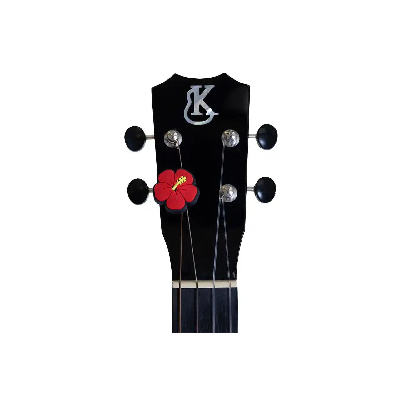 1_cb1d1224-d89c-443e-819b-7d8120db9c9d | Terry Carter Music Store