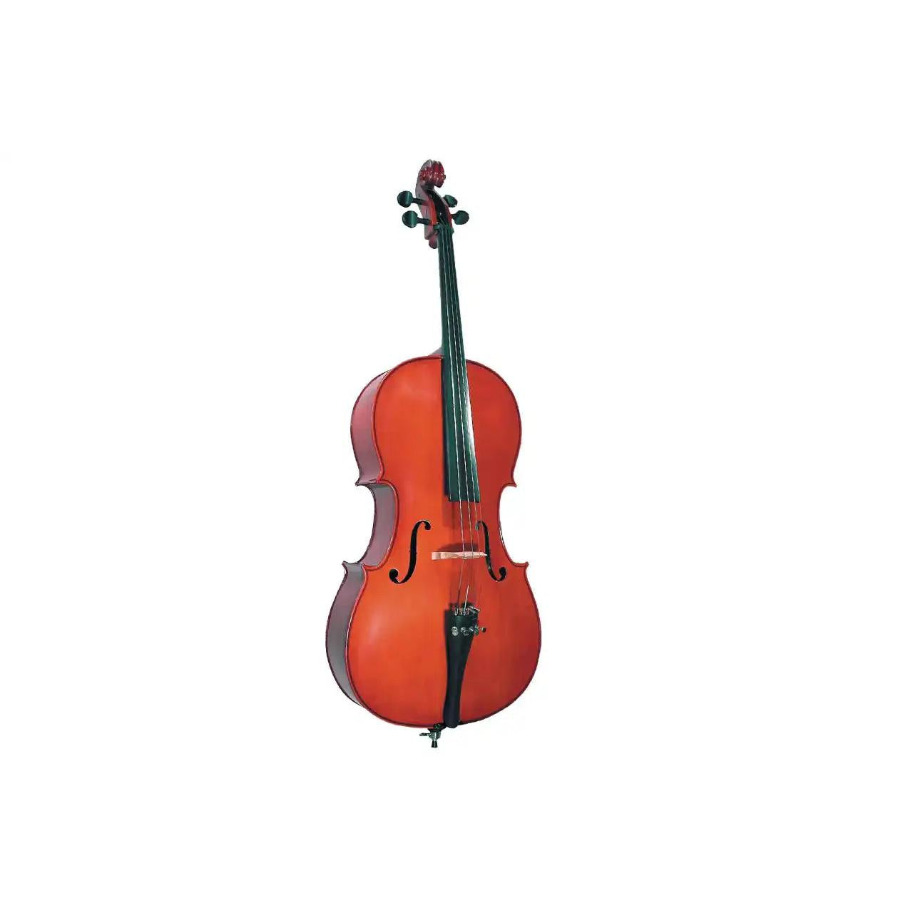 1_df9d5289-b106-40e8-8be3-a7ff3f22ac22 | Terry Carter Music Store