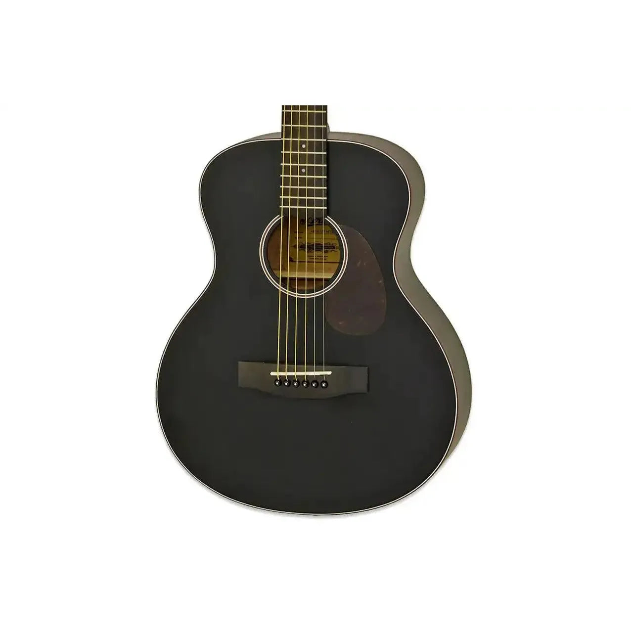 210.13.55AM | Terry Carter Music Store