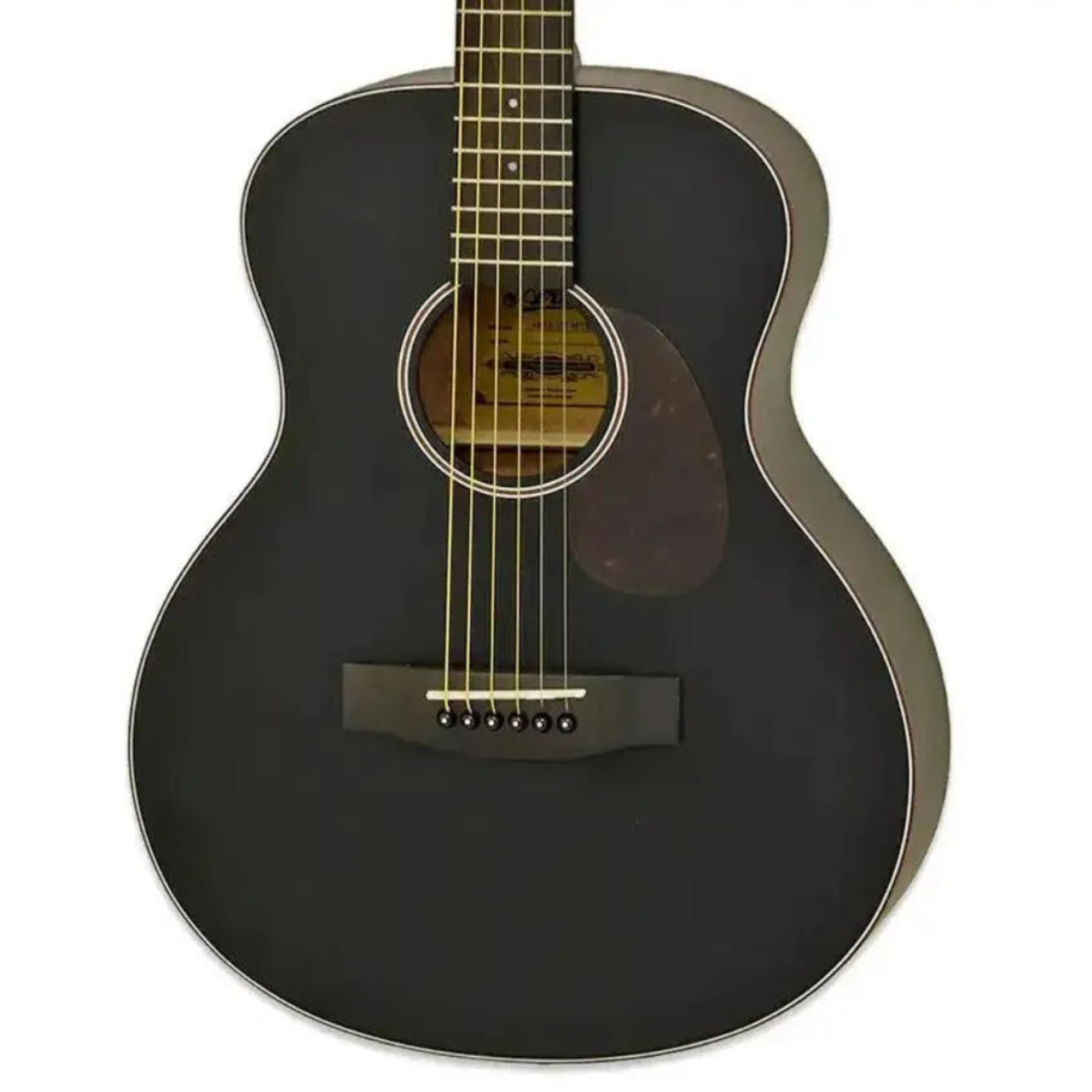 210.13.55AM | Terry Carter Music Store
