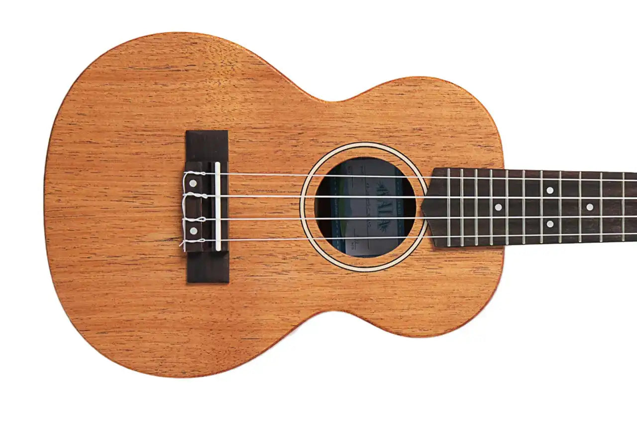 2_01a4c7cd-0311-416e-ad4b-3d23bdec28fc | Terry Carter Music Store